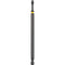 DEWALT DWA6PH2IRB 6-Inch Phillips Number-2 IMPACT READY FlexTorq Bits,